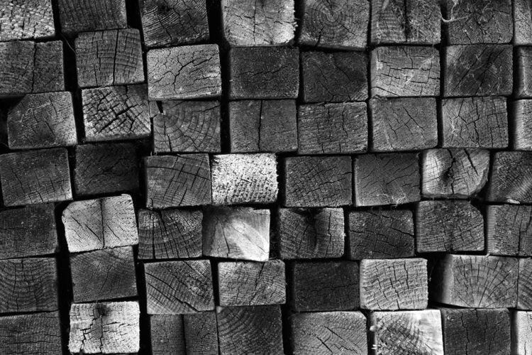 All The Types of Acacia Wood Explored
