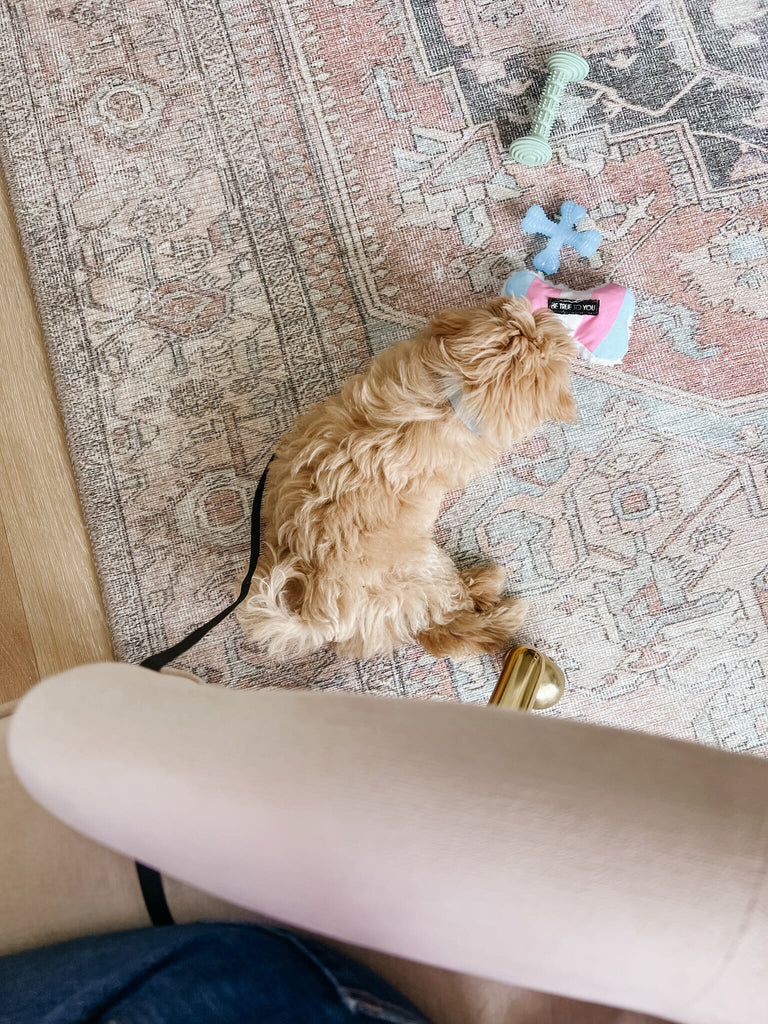 Goodies, Best Sales & More