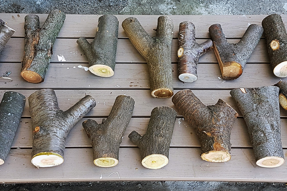 Using nature’s structures in wooden buildings