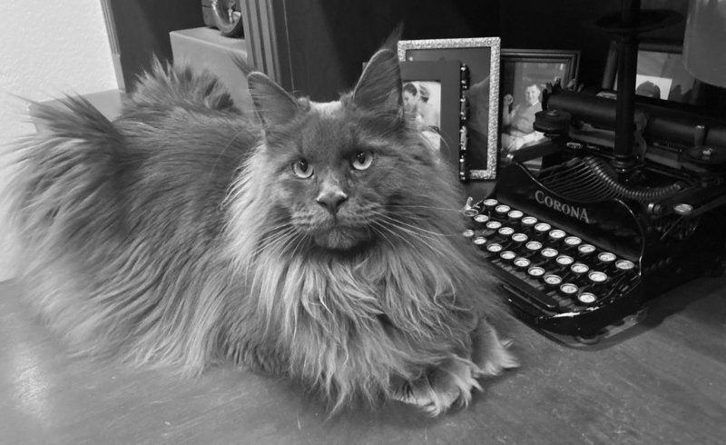 Why Happiness and Joy Reside in the Quietude of Life