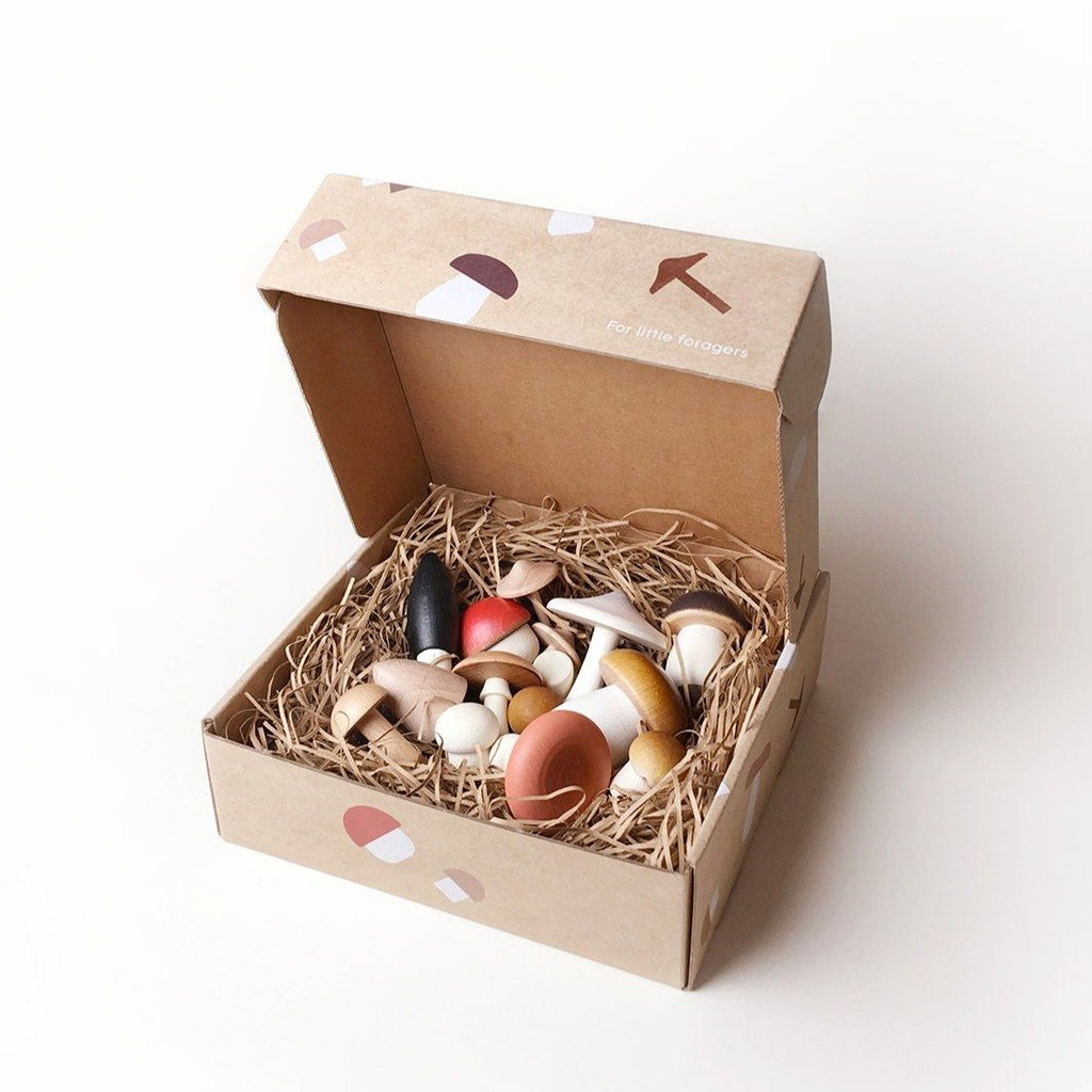 Forest Mushrooms in a Box