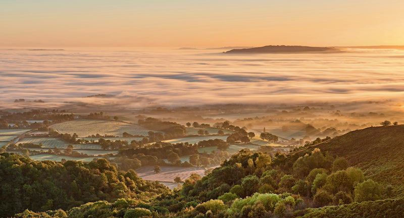 Looking for Middle-Earth? Go to the Middle of England