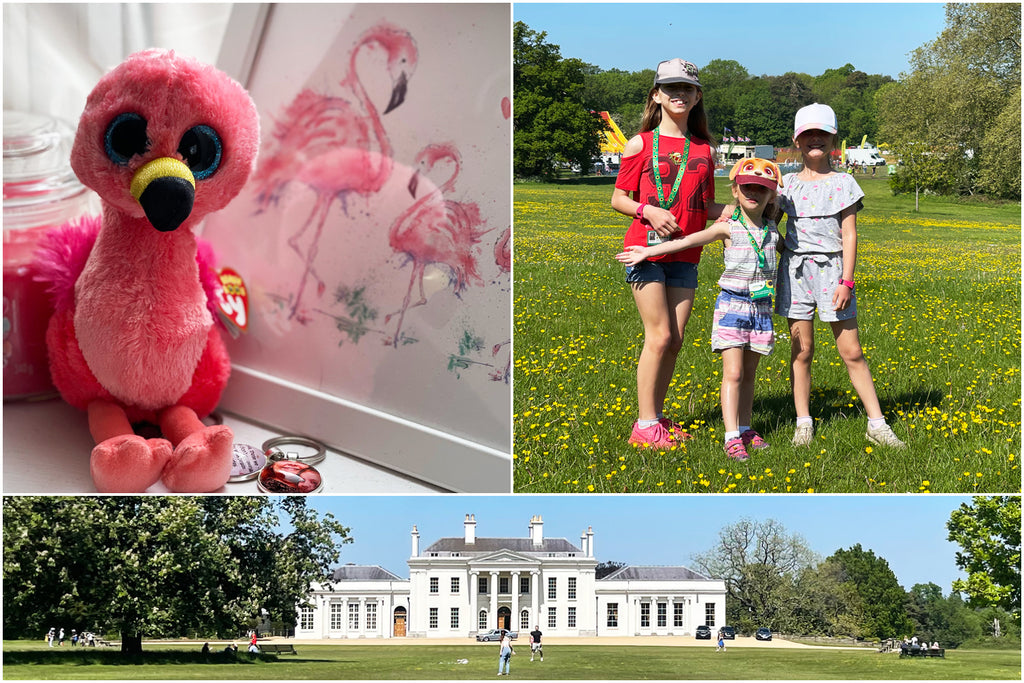 All About Dogs Show & Mum’s First Birthday In Heaven