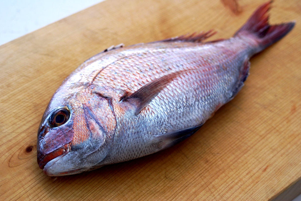 Salt-Crusted Sea Bream Loved By a Japanese Samurai, Hideyoshi Toyotomi