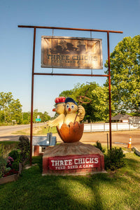 Springtime at Three Chicks in Texarkana