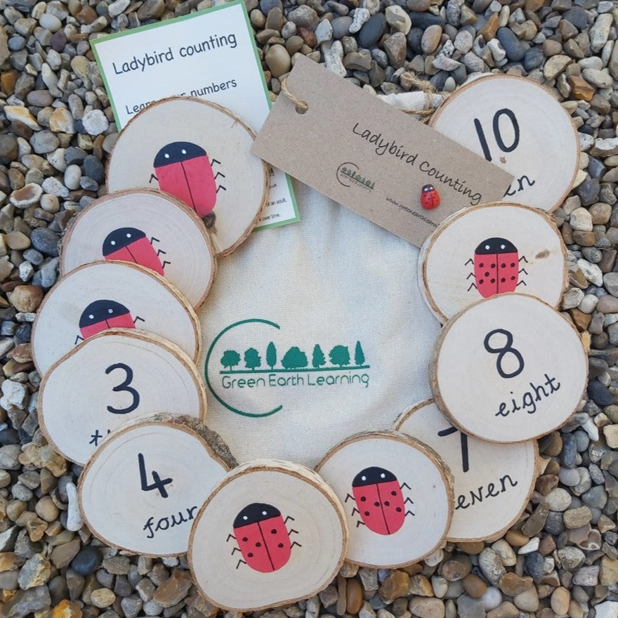 Ladybird Wooden Counting Discs