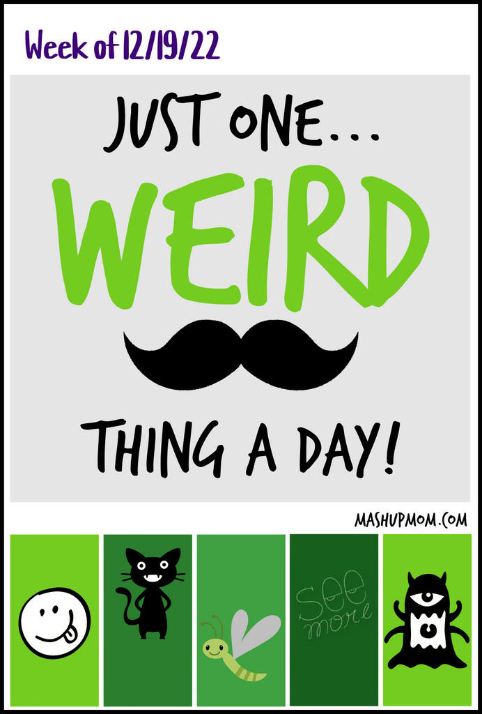 Circular saw pizza cutter? Weird Amazon products week of 12/19/22