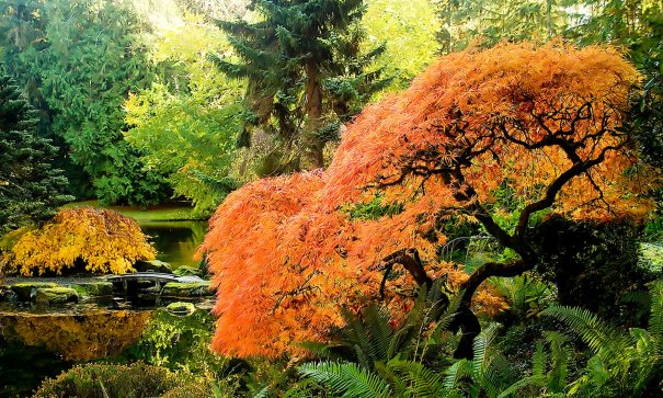 9 Scenic Drives to See Fall’s Fabulous Colors