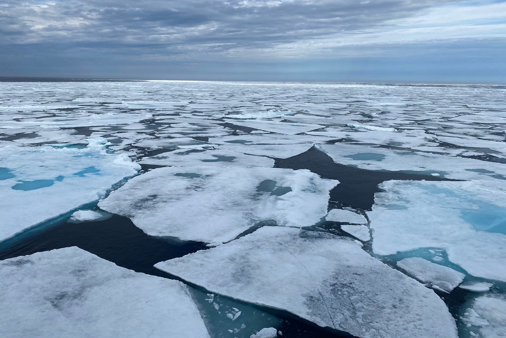 I didn’t think I’d like my 1st Arctic expedition cruise; here’s what proved me wrong