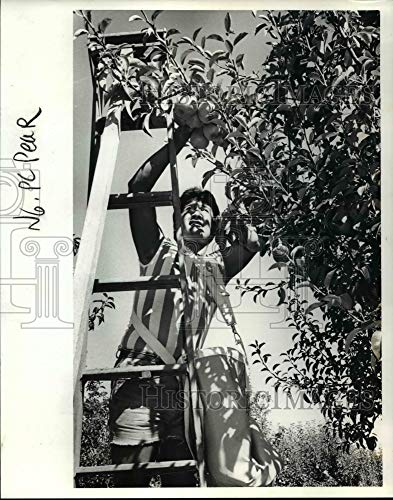 Top 23 Best Emergency Foods