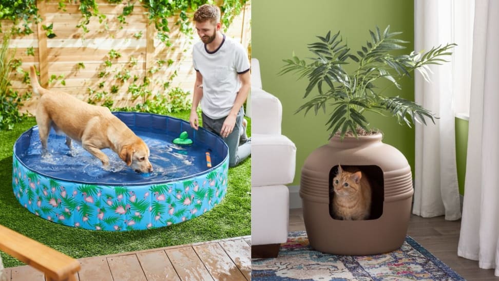 The 9 best places to buy pet supplies online