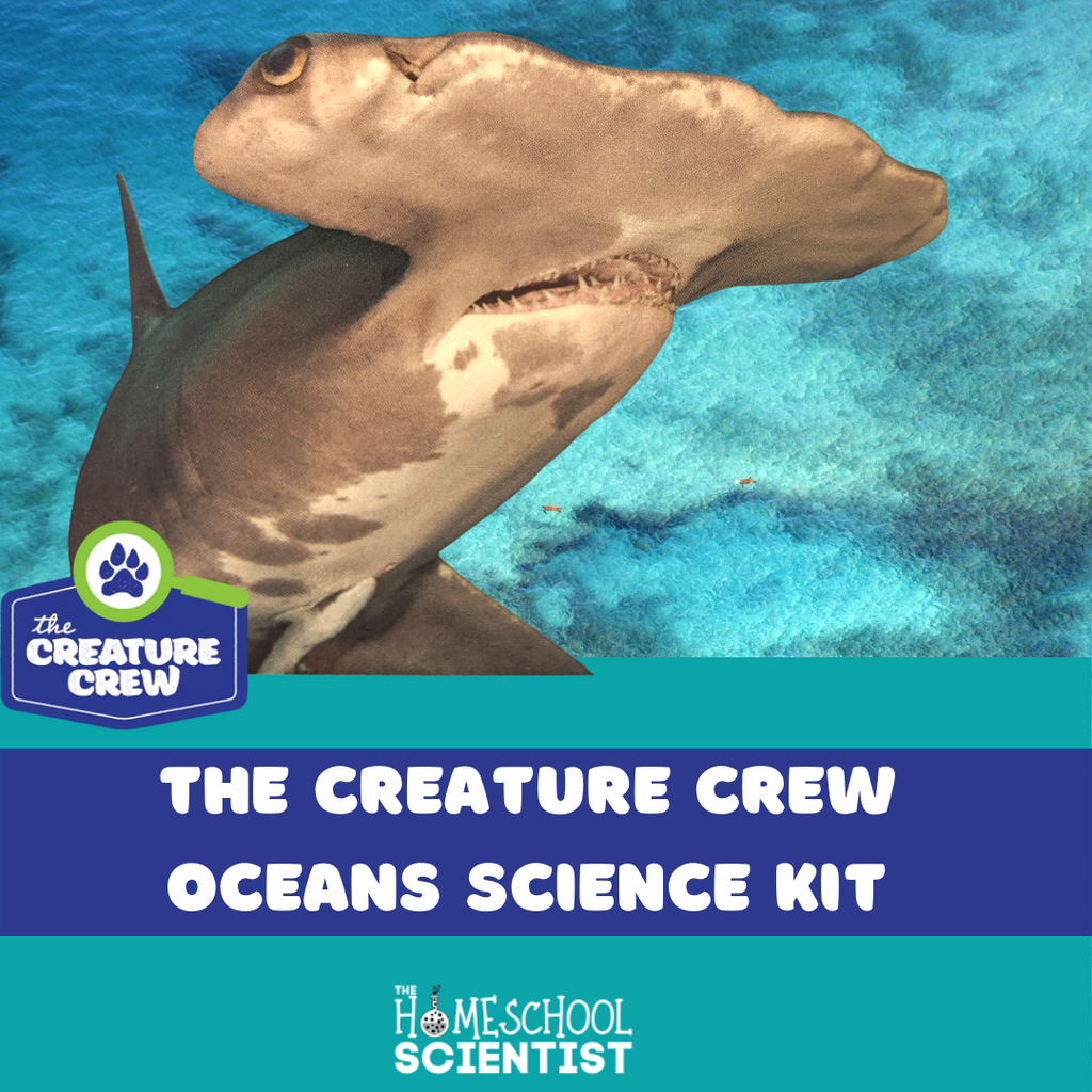 Science Kit Review: The Creature Crew – The Ocean