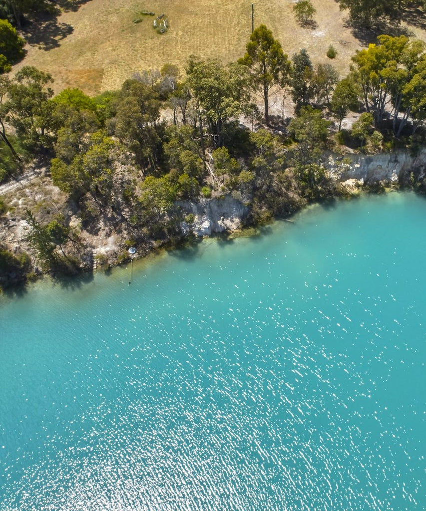 The Best Things To Do In Collie