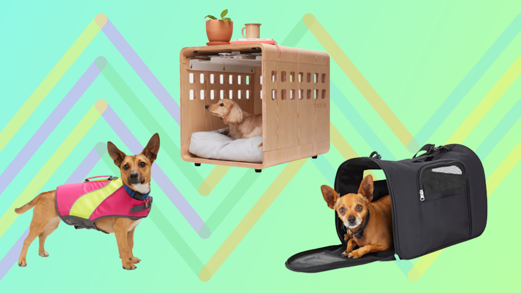 Spoil your pup with National Puppy Day deals