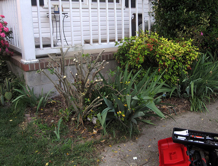 People Share The Most Infuriating Experiences They Have Had With Homeowner Associations (64 New Posts)