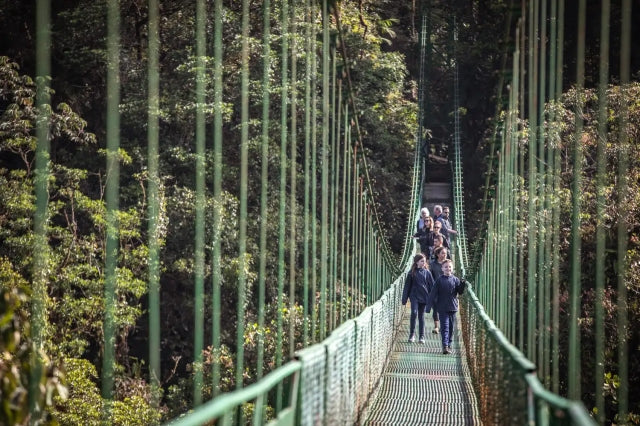 Unbelievable Small Group Family Tours We’re Booking for 2023