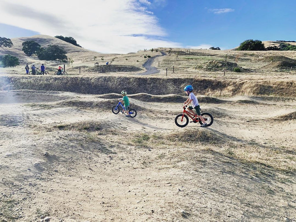 Stafford Lake Bike Park in Marin: An Epic Playground for Bike Lovers